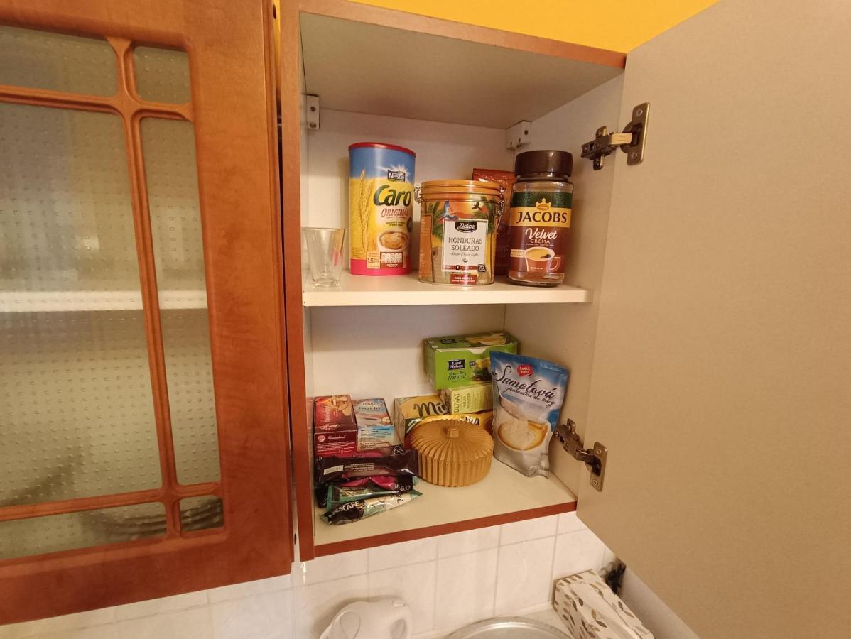 Apartman Horni Slavkov Hodinarstvi Zewnętrze zdjęcie